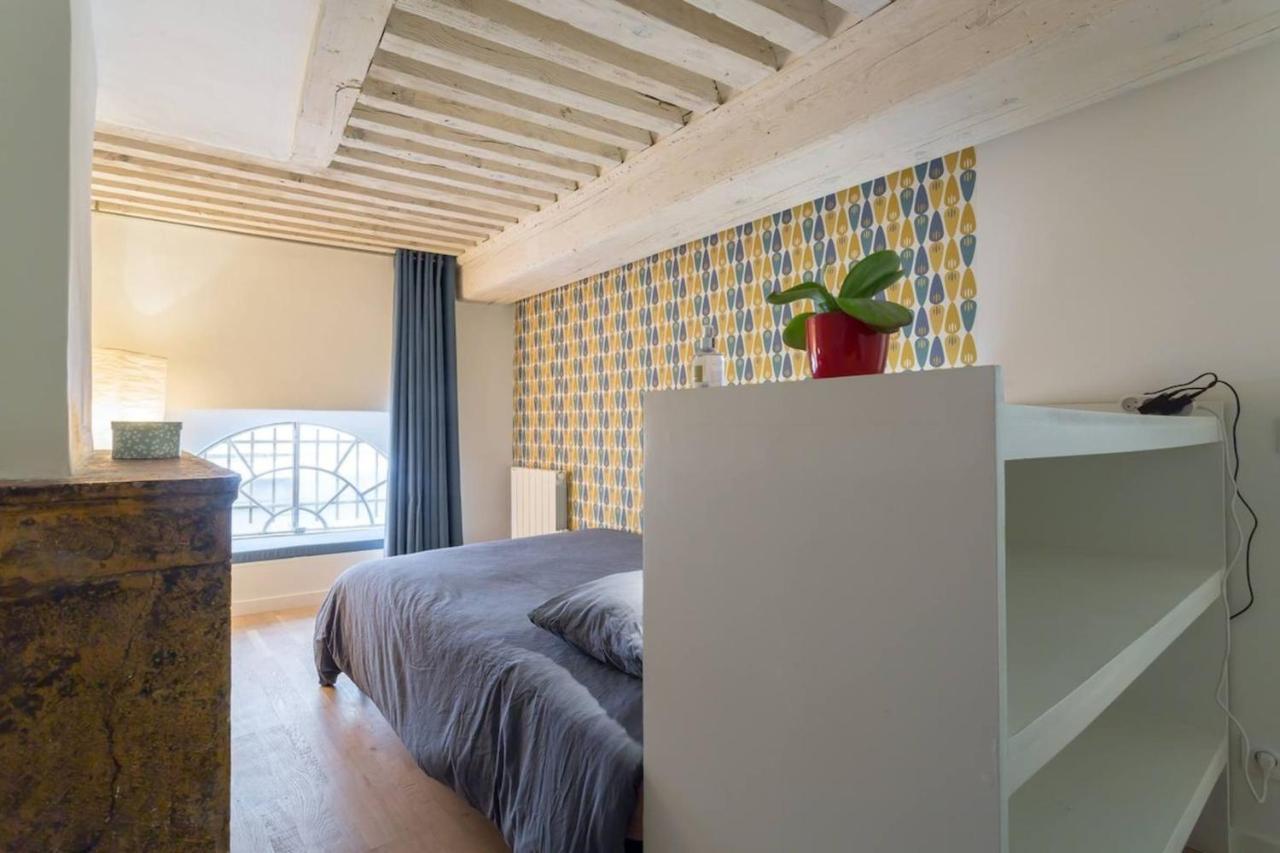 Character Apartment 6 People - City Center Lyon Luaran gambar